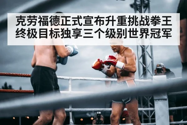 boxer in ring